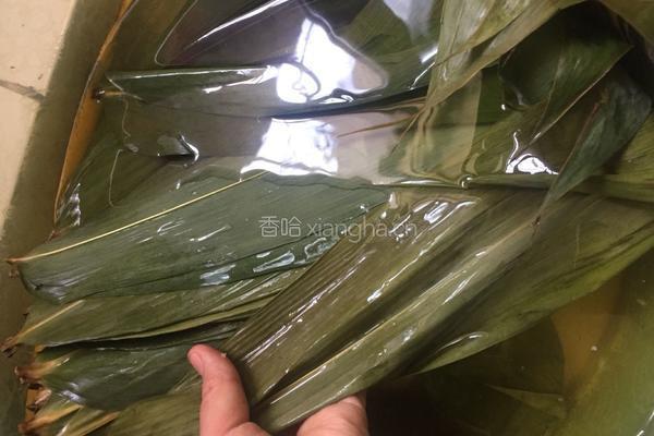 包肉粽的做法图解1