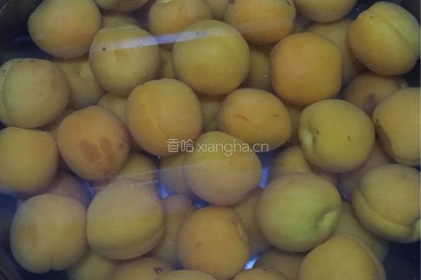 自制杏脯的做法图解1