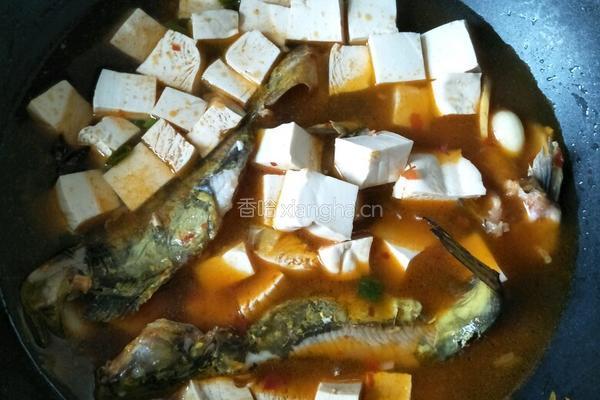 戈雅鱼炖豆腐的做法图解9