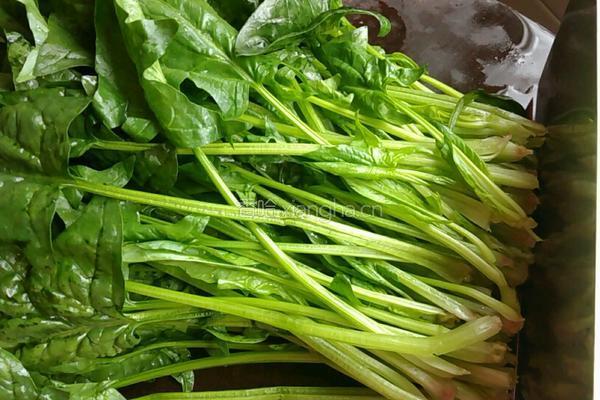 五花肉猪肝炒菠菜的做法图解4