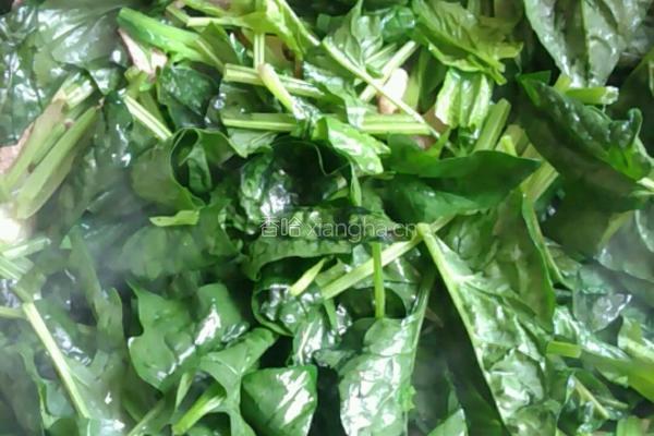 五花肉猪肝炒菠菜的做法图解10
