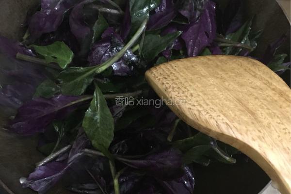 豆酱紫背天葵的做法图解3