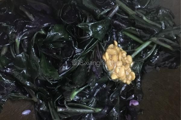 豆酱紫背天葵的做法图解6