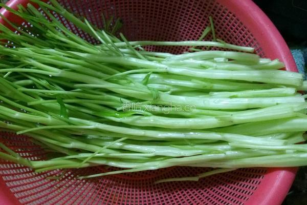 通菜梗炒酸笋的做法图解4