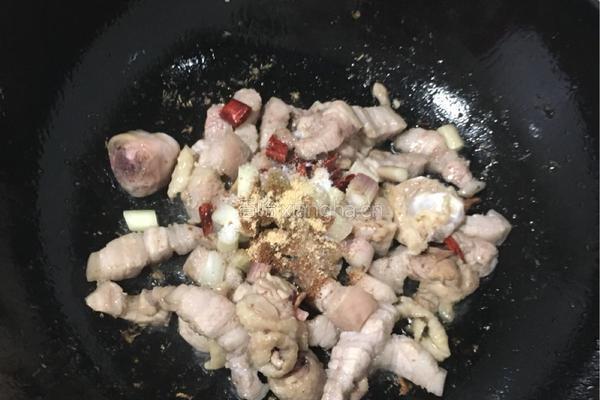 鸡猪肉炖土豆的做法图解7