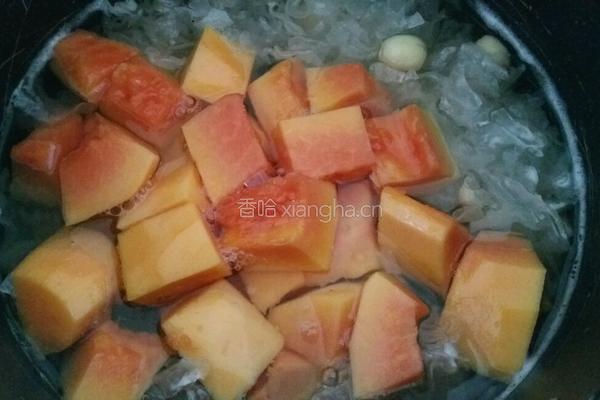 木瓜银耳莲子汤的做法图解5