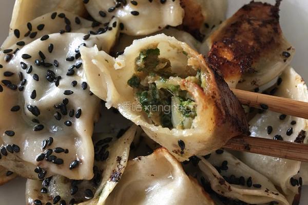 煎饺的做法图解10