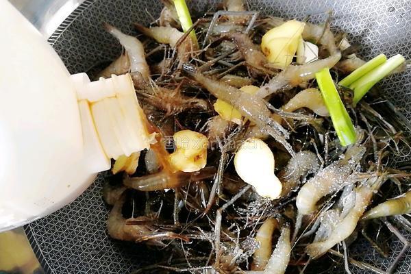 盐水河虾的做法图解4