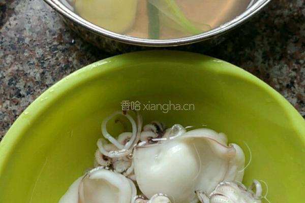 白灼墨鱼的做法图解9