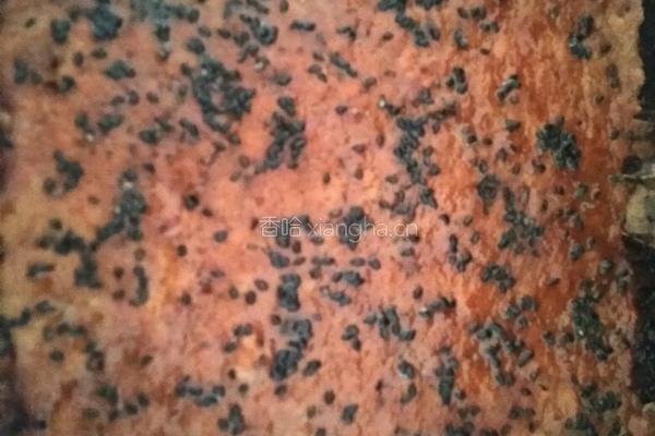 蜜汁奥良烤翅猪肉脯的做法图解10