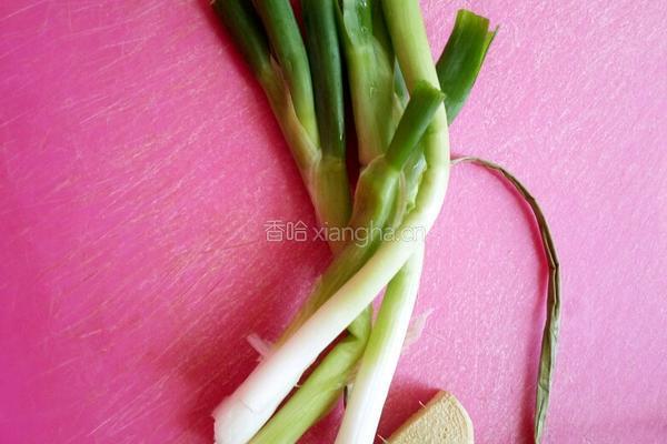 红烧牛肉的做法图解4