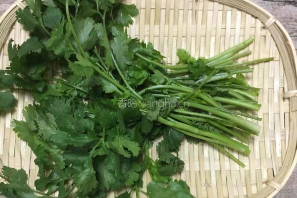香菜拌皮蛋的做法图解3