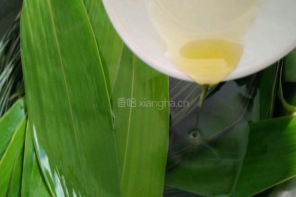 香菇咸蛋黄肉粽的做法图解3