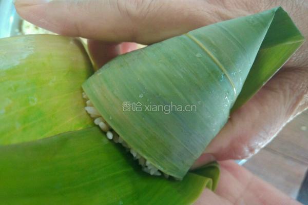 香菇咸蛋黄肉粽的做法图解19
