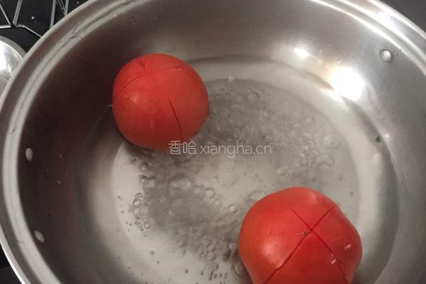 西红柿烩鸡肉饼的做法图解5