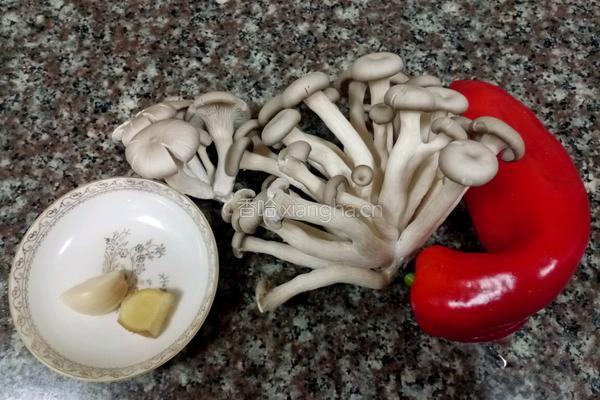 蘑菇肉丝的做法图解1