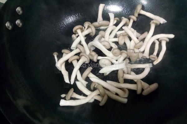 蘑菇肉丝的做法图解5