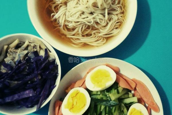 适合孩子吃的机器猫版～朝鲜凉面的做法图解9