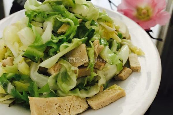 卷心菜清炒冻豆腐的做法图解11