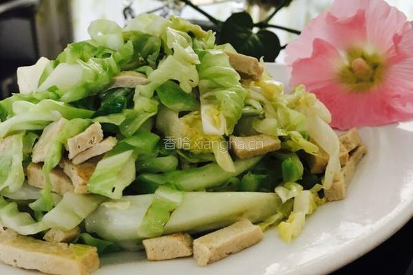 卷心菜清炒冻豆腐的做法图解10