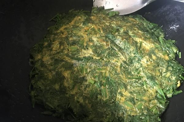 茴香苗蛋饼的做法图解4