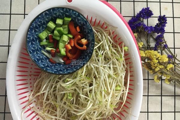 清炒豆芽的做法图解1