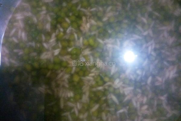 小米绿豆粥的做法图解3
