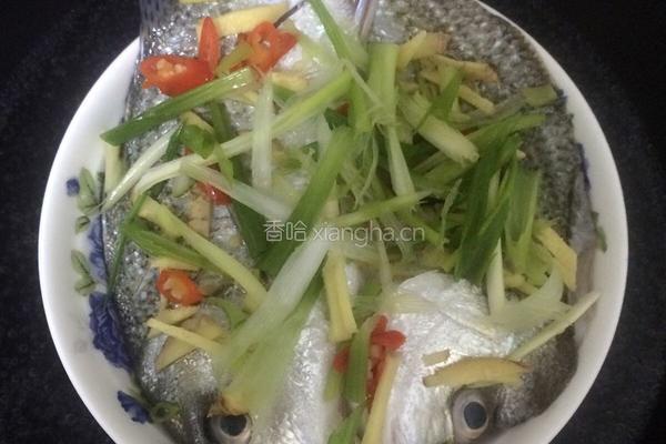 清蒸鲈笋鱼的做法图解5