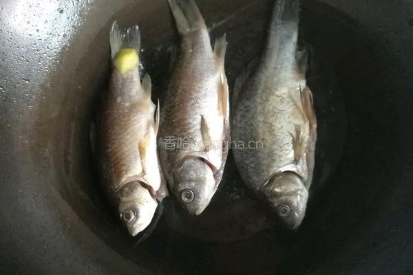 西红柿鲫鱼蘑菇汤的做法图解2