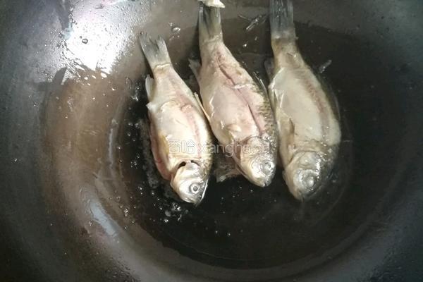 西红柿鲫鱼蘑菇汤的做法图解3