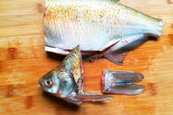 孔雀开屏鱼的做法图解2