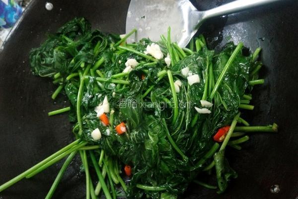 蒜香红薯叶的做法图解6
