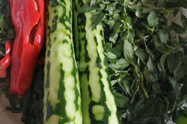 凉拌黄瓜荆芥的做法图解1