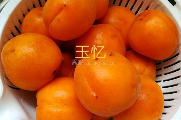 杏酱的做法图解1