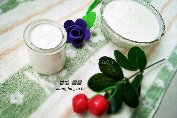 自制老酸奶的做法图解10