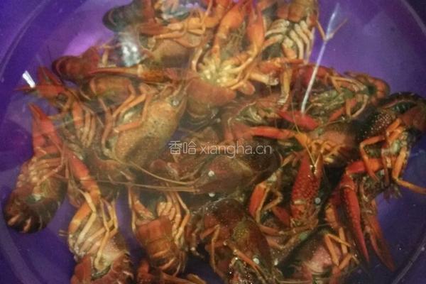 清洗小龙虾的做法图解2