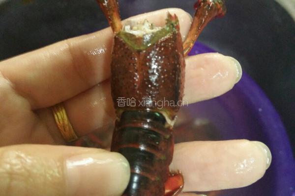 清洗小龙虾的做法图解4