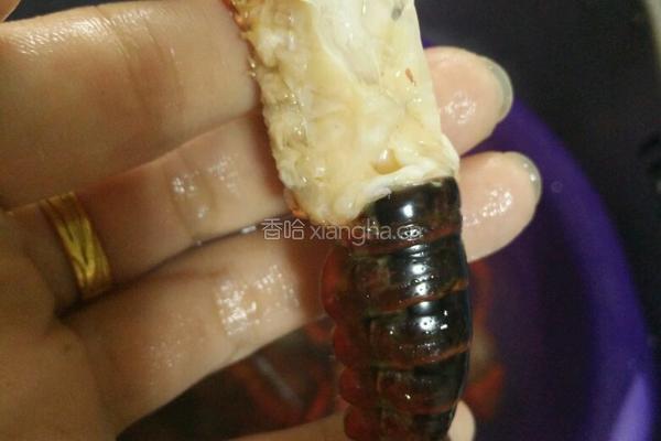清洗小龙虾的做法图解7