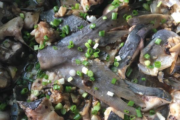 蒜蓉豆鼓蒸鸭嘴鱼（别名无骨鱼）的做法图解6