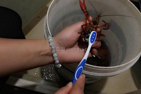 一口香卤虾的做法图解3