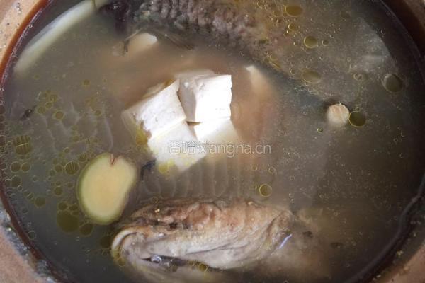 鲤鱼豆腐汤的做法图解5