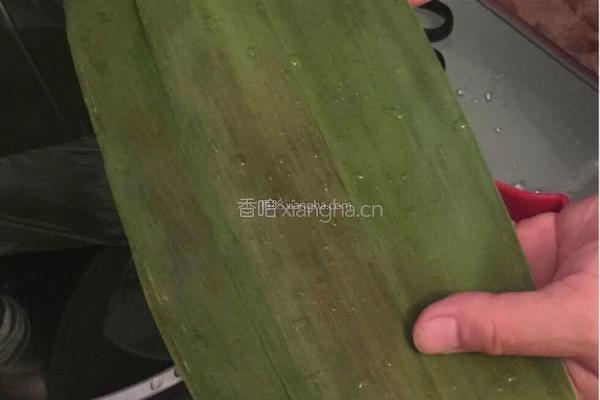 蜜枣葡萄干粽子的做法图解2
