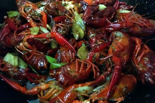 麻辣小龙虾的做法图解8