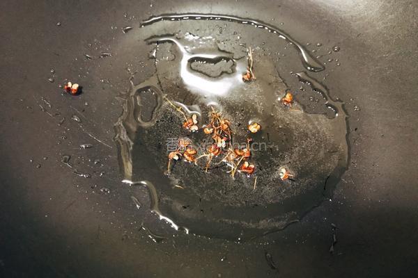 简单易做 快手菜 宫保鸡丁家常版的做法图解5