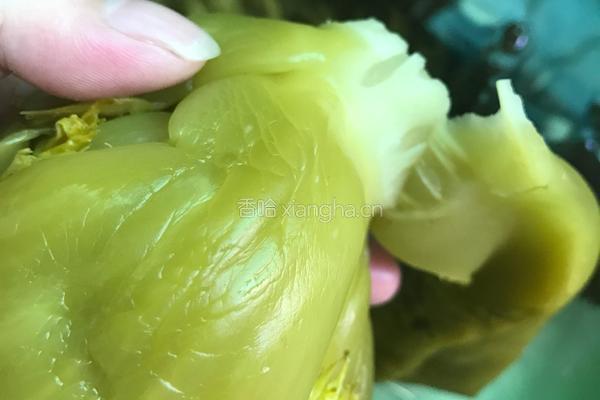 炒酸菜的做法图解1
