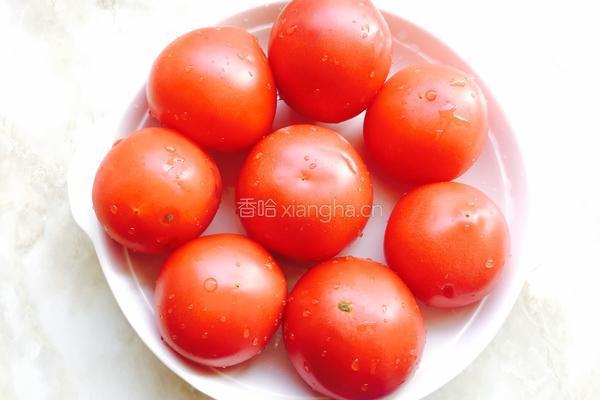 番茄烩牛腩的做法图解1