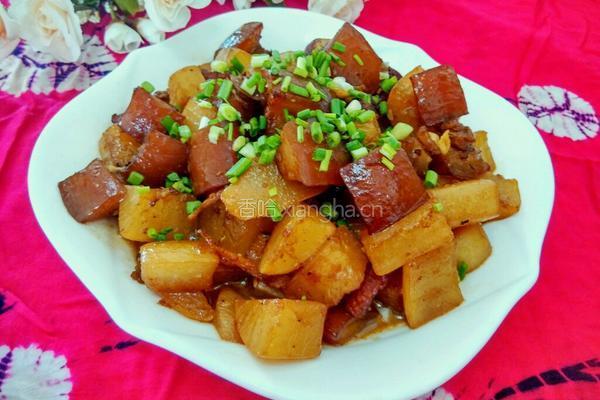 红烧肉炖萝卜的做法图解8