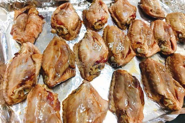 宝宝和大人都爱的秘制烤鸡翅 妈妈的味道的做法图解4
