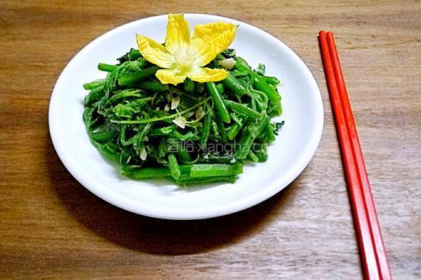 蒜香南瓜苗的做法图解10