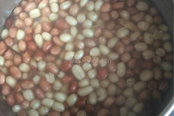 水煮五香花生米的做法图解4
